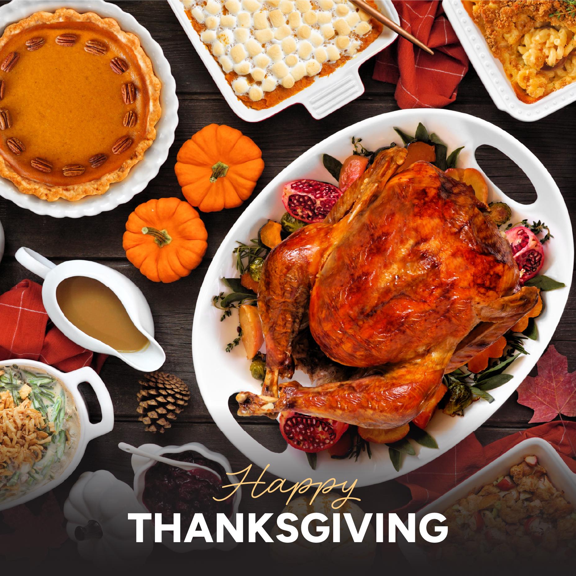 Happy Thanksgiving, District 104!